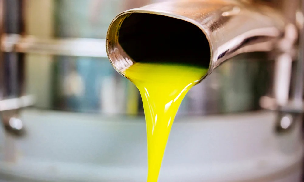 olive oil machine